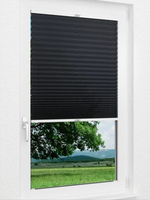 Preview Plissee Color Krepp 1327vs 1