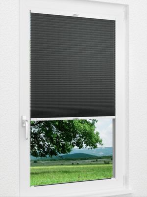 Preview Daisy Dark 1624vs 1