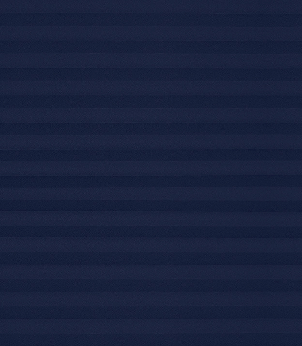 Detailansicht Plissee Krepp B1 121vs