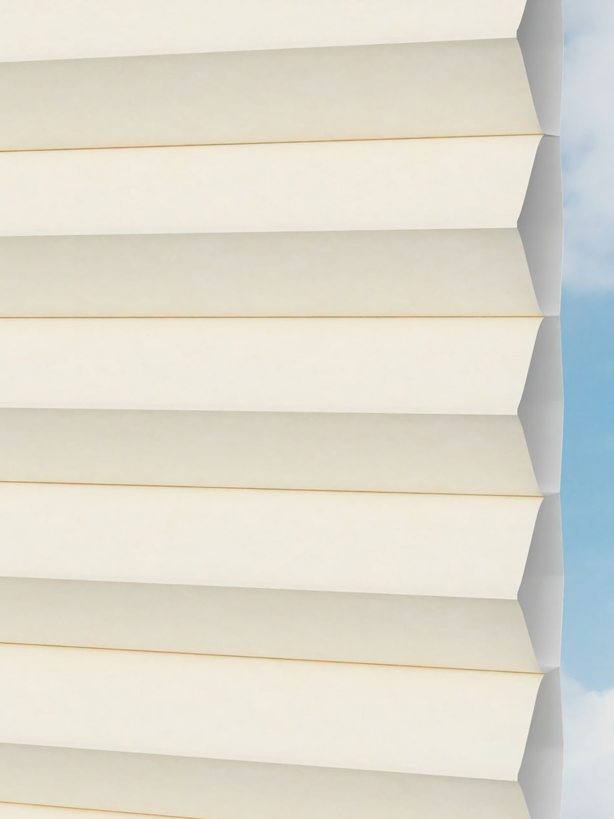 Detailansicht Gaddo 1481vs