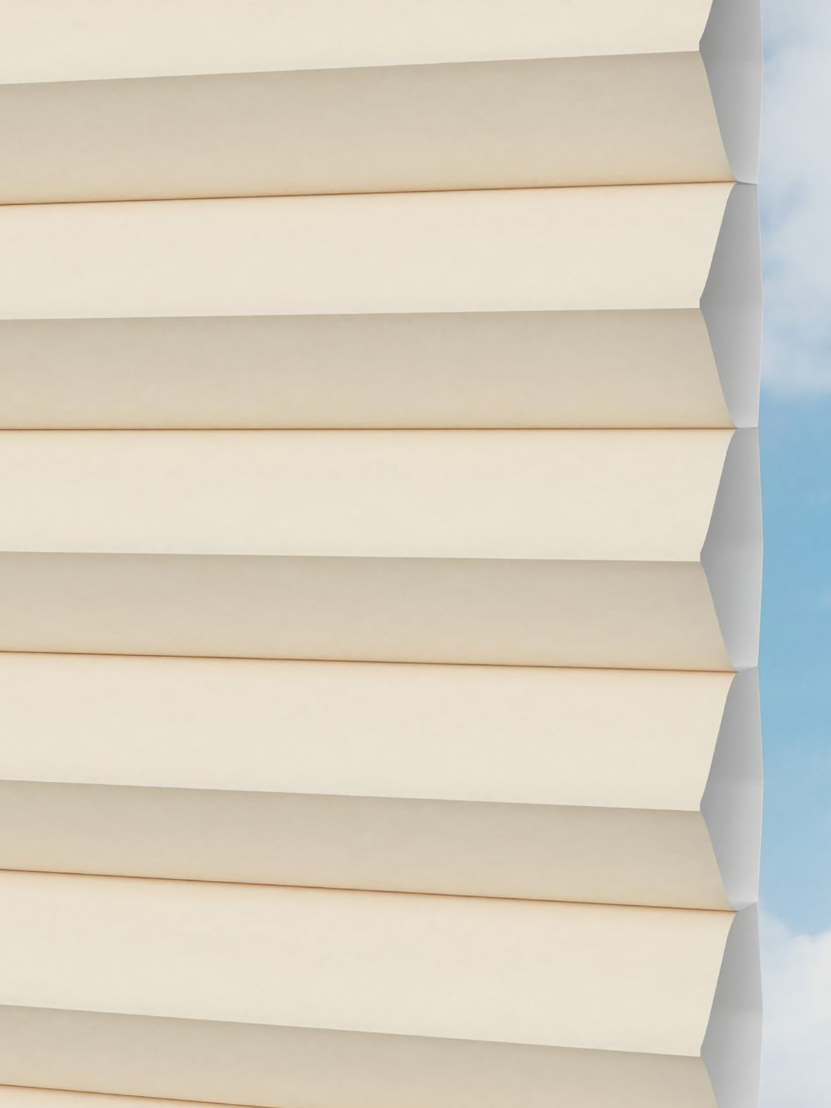 Detailansicht Gaddo 1482vs