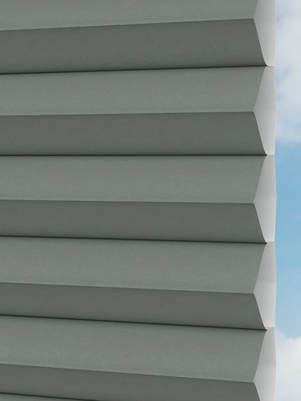 Detailansicht Gaddo 1484vs