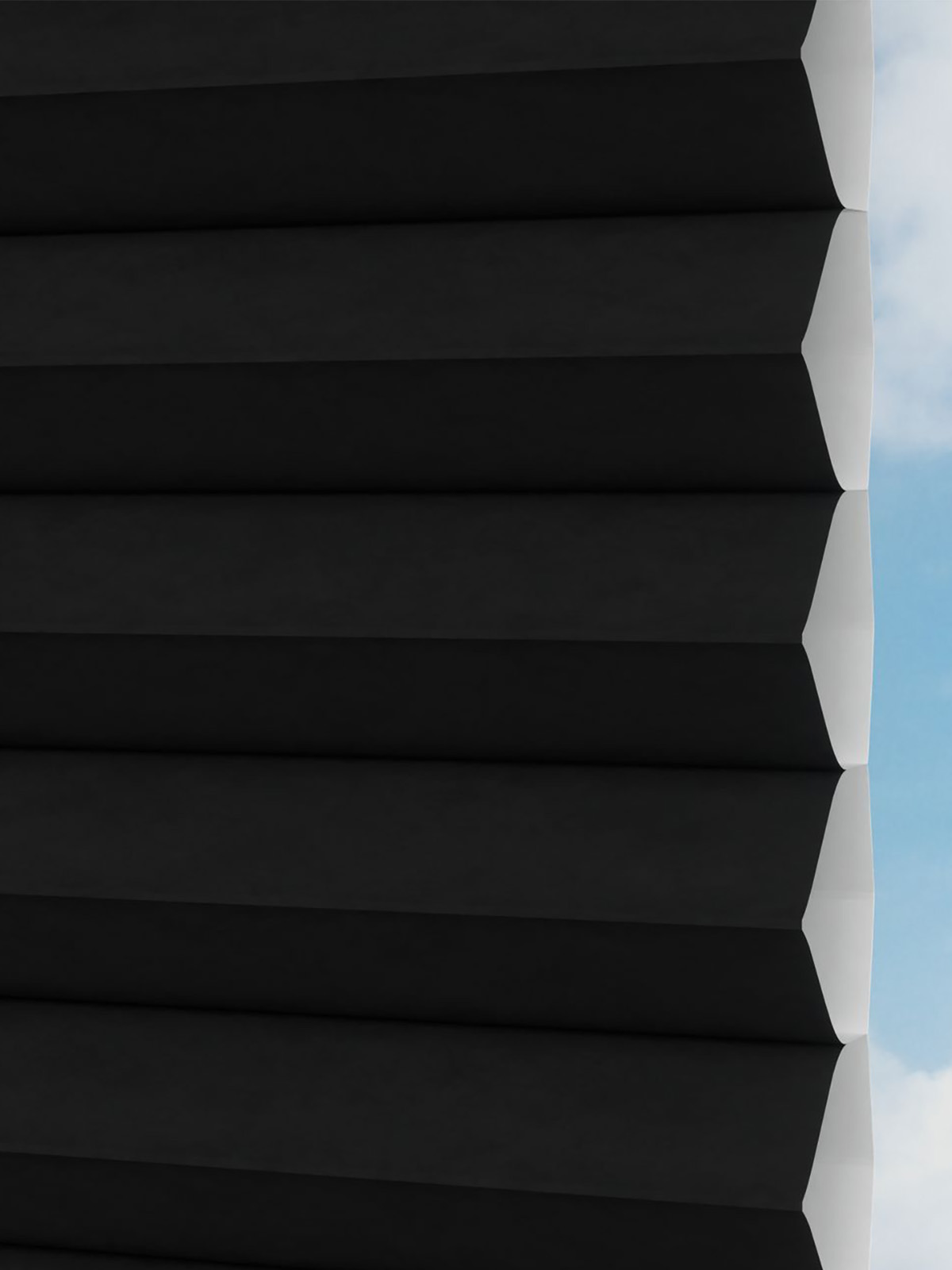 Detailansicht Gaddo 1489vs