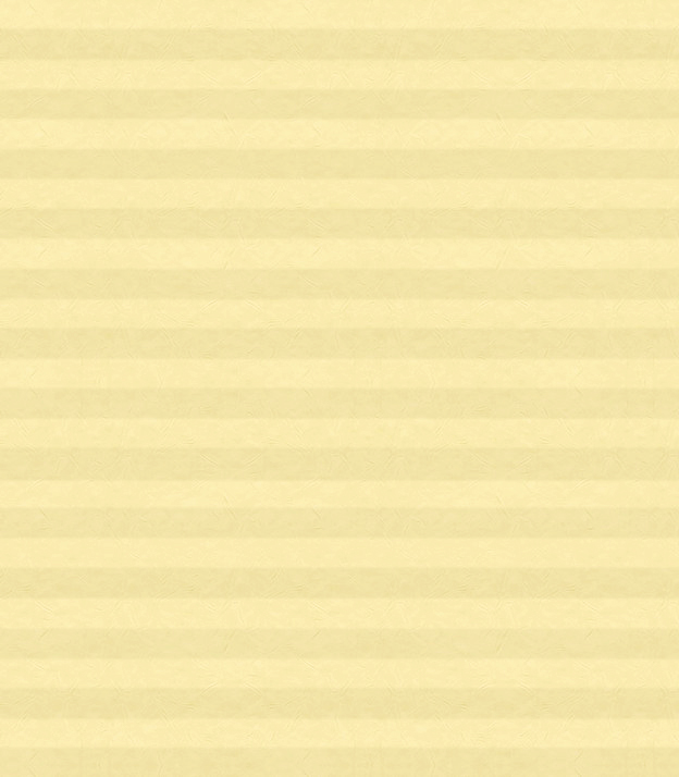 Detailansicht Plissee Pleat 1084vs