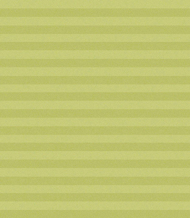 Detailansicht Plissee Color Krepp 166vs