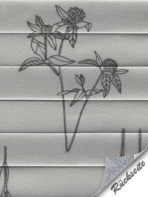 Preview Plissee Flower Study 710vs 5