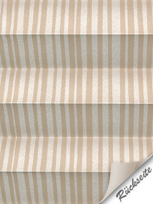 Preview Plissee Planks 638vs 5