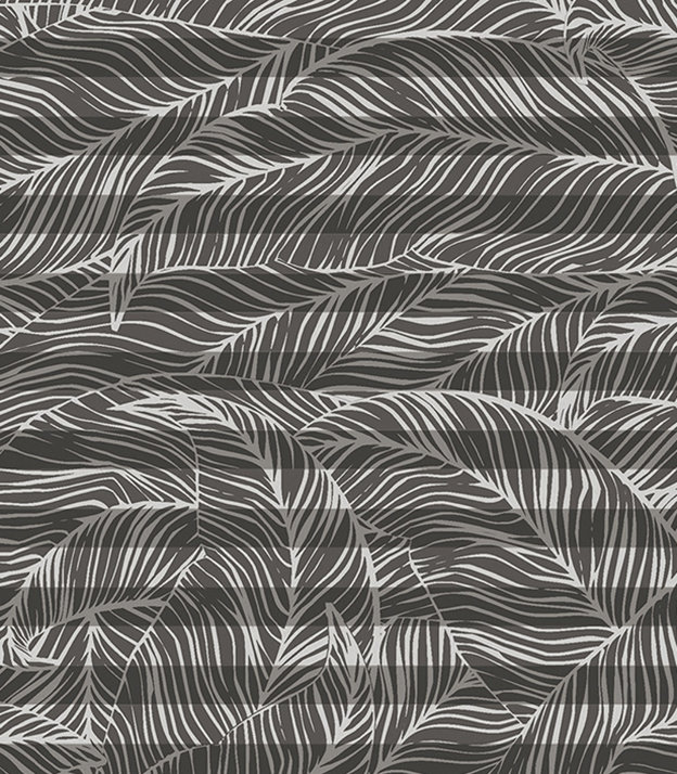 Detailansicht Tapira 11.767e