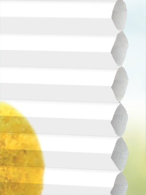 Stoff Plissee Maßanfertigung DUETTE® Trommelblume 2744 A001