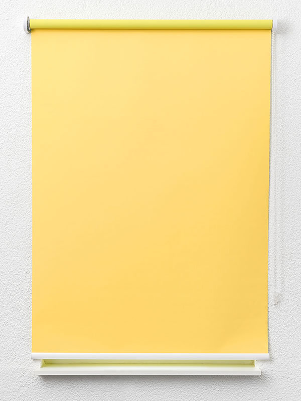 Detailansicht Canari 42.151e