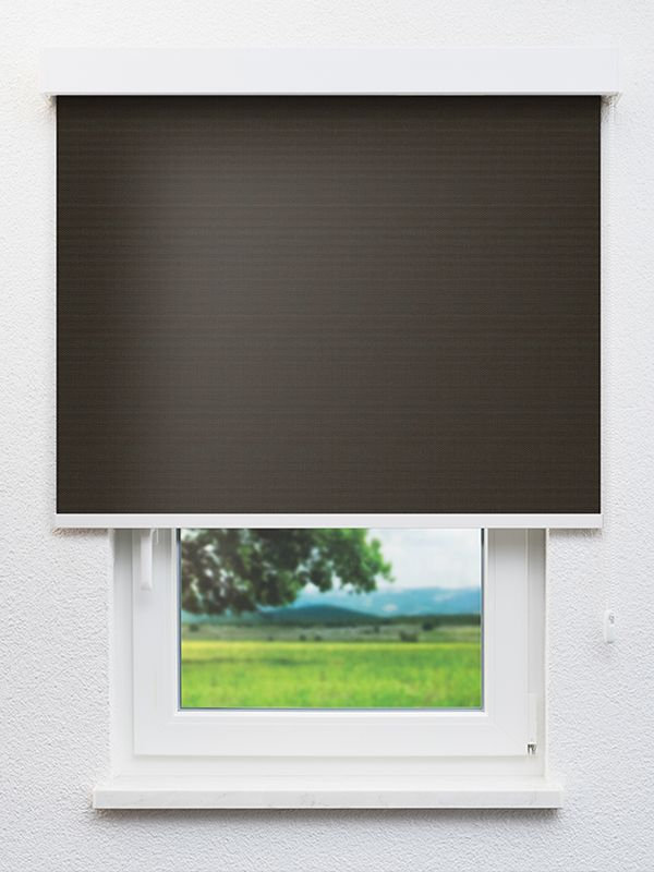 Detailansicht Canopus 702818L