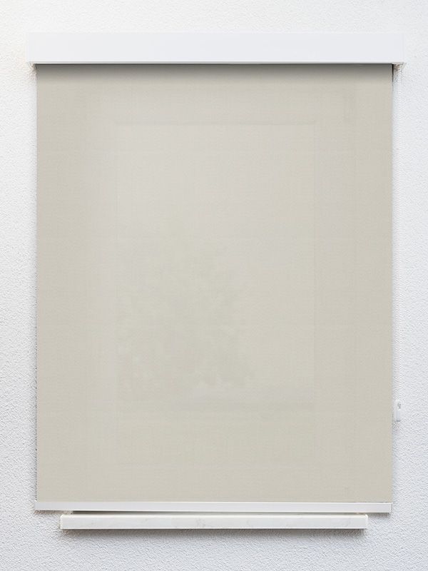 Detailansicht Cap-d´Ail 537-9ro