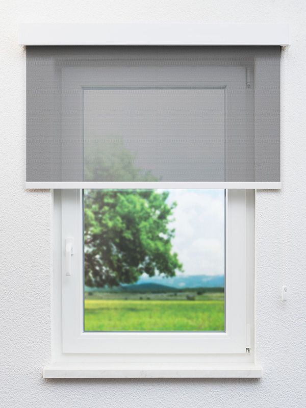 Detailansicht Pantin 761-0ro