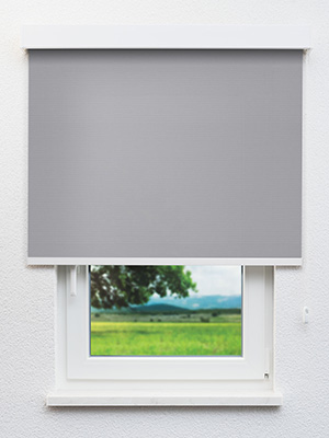 Abbeville 810-1 Fensteransicht