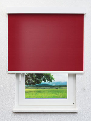 Abbeville 810-5 Fensteransicht