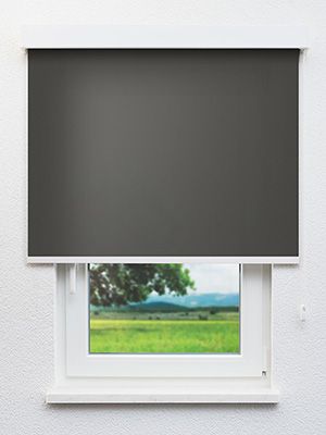 Canari 775-1ro Fensteransicht