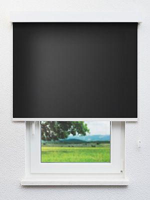 Canari 507-3ro Fensteransicht