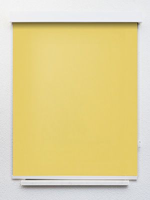 Preview Canari 775-3ro 1