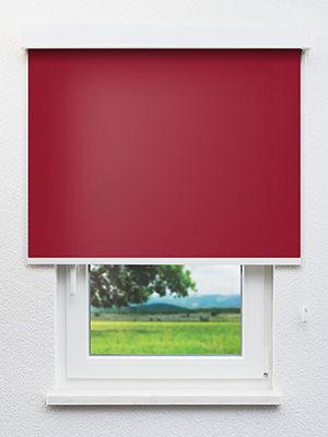 Canari 421-7ro Fensteransicht