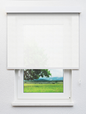 Capella 102519L Fensteransicht