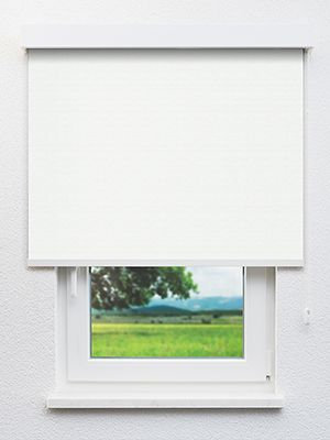 Asellus 102525L Fensteransicht