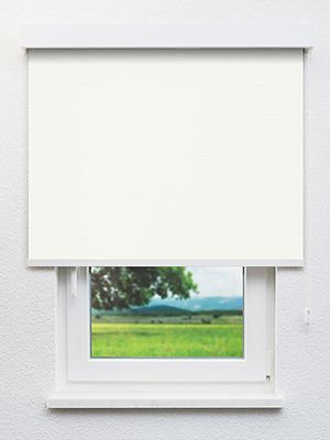 Asellus 102555L Fensteransicht