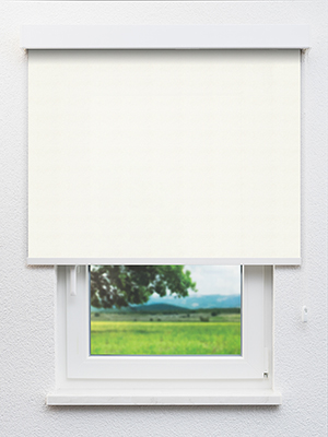 Brachium 202561L Fensteransicht