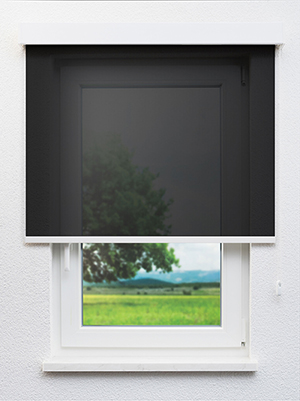 Albali 802617L Fensteransicht