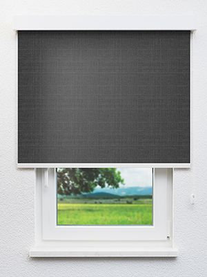 Arcturus 802620L Fensteransicht