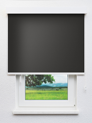 Alasco 802641L Fensteransicht