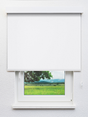 Asterope 102642L Fensteransicht