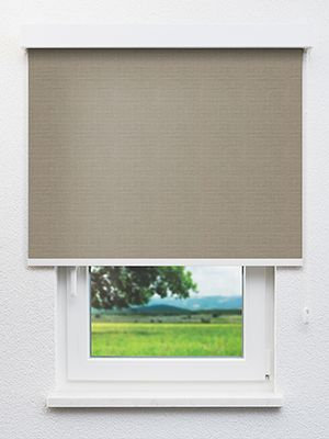 Asellus 702702L Fensteransicht