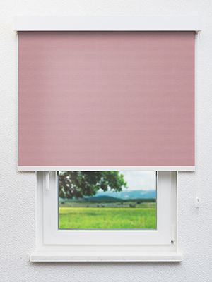 Alnitak 402761L Fensteransicht