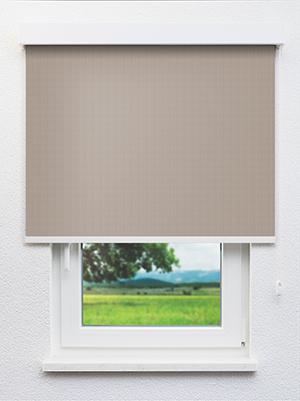 Asterope 702795L Fensteransicht