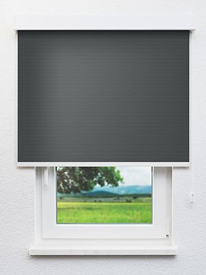 Canopus 802816L Fensteransicht