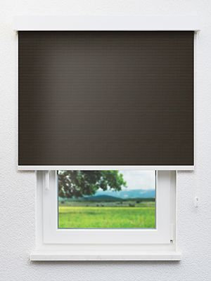 Canopus 702818L Fensteransicht