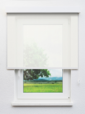 Canopus 102819L Fensteransicht