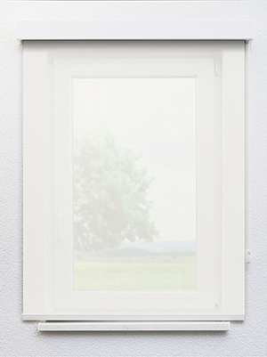 Preview Canopus 102819L 1