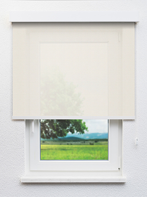 Canopus 202820L Fensteransicht