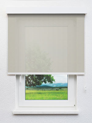 Canopus 702821L Fensteransicht