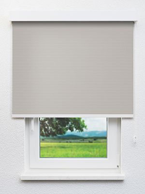 Canopus 802823L Fensteransicht