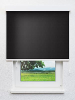 Acamar 802872L Fensteransicht