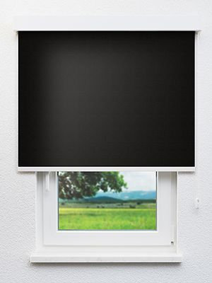 Alnilam 802889L Fensteransicht