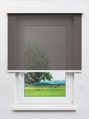 Alhena 102892L Fensteransicht