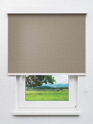 Alya 702909L Fensteransicht