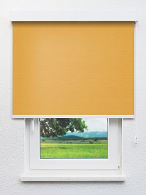 Alya 302912L Fensteransicht