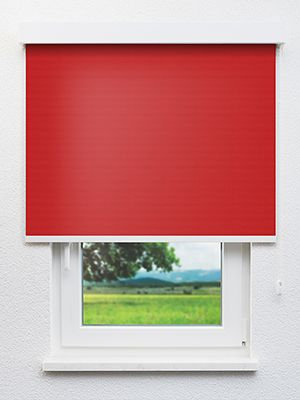 Alya 402913L Fensteransicht