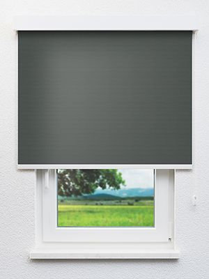 Alya 802917L Fensteransicht