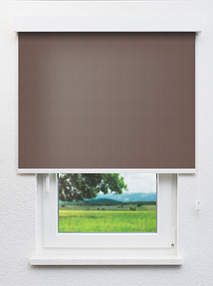 Alya BO 702933L Fensteransicht