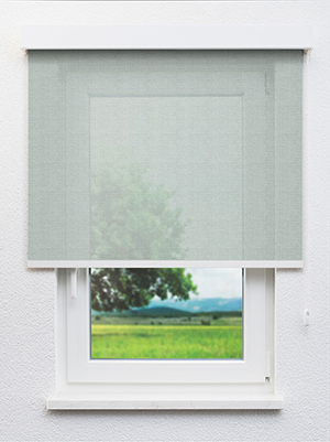 Algieba 802973L Fensteransicht